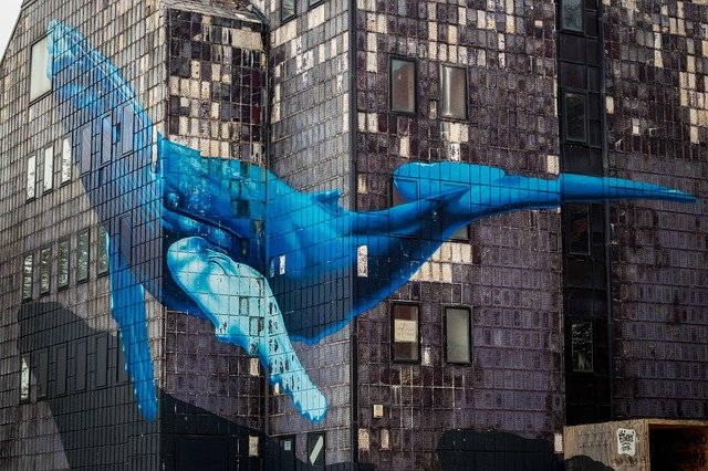 Ile warty jest wieloryb?