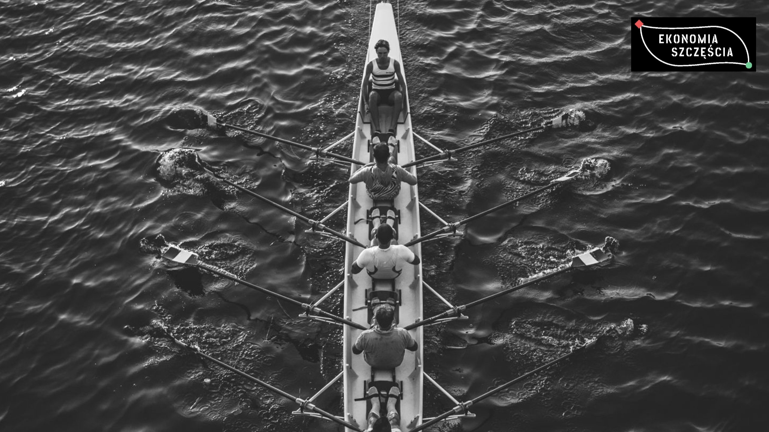 No dickheads - efekt zgniłych jabłek